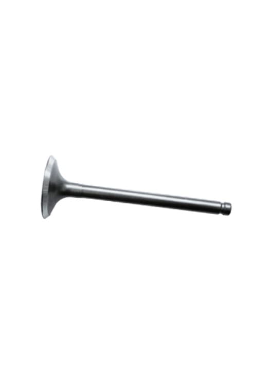 VALVE BIG ONLY