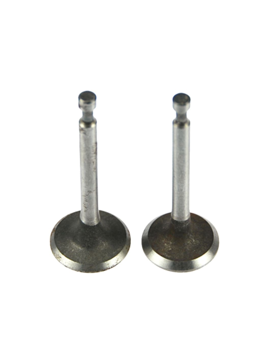 VALVE SEAL