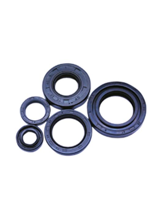 OIL SEAL KIT — YAMAHA 19V - FIT Auto Parts spare part