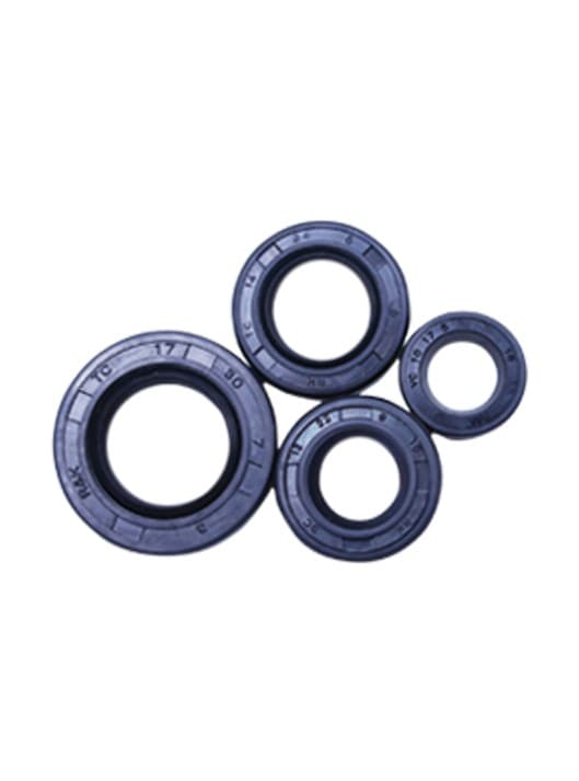 OIL SEAL KIT — SUZUKI SPRINTER - FIT Auto Parts spare part