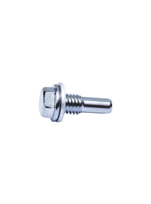 ROLLER BOLT (CROME) WITH WASHER - FIT Auto Parts spare part