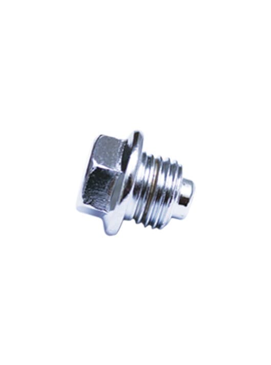 TIMING BOLT (CROME) - FIT Auto Parts spare part