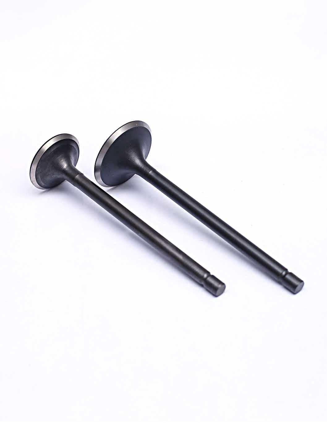 VALVE SET — 3WHEELERS SAZGAR - FIT Auto Parts spare part