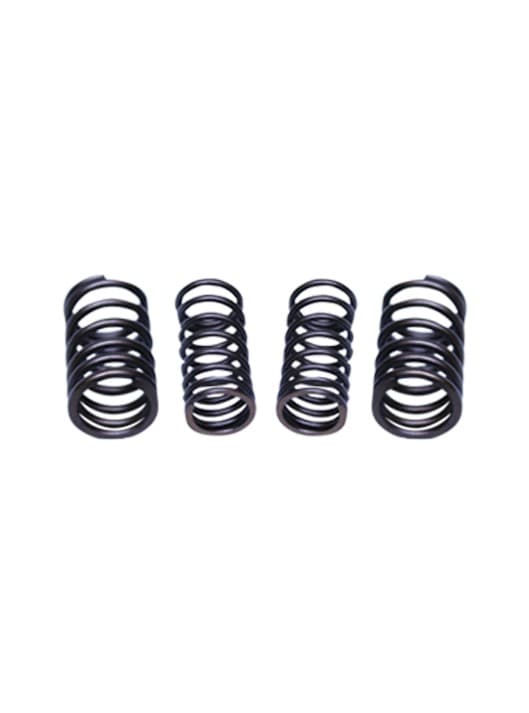 VALVE SPRING SET spare part by FIT Auto Parts