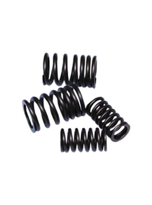 VALVE SPRING SET — 125CC CG125 - FIT Auto Parts spare part